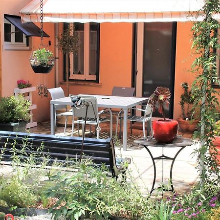 טולוז Maison Toulousaine Avec Jardin מראה חיצוני תמונה