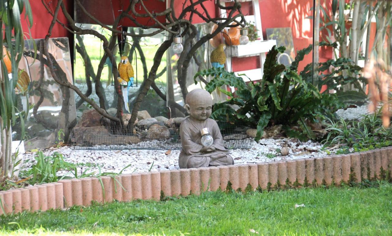 טולוז Maison Toulousaine Avec Jardin מראה חיצוני תמונה