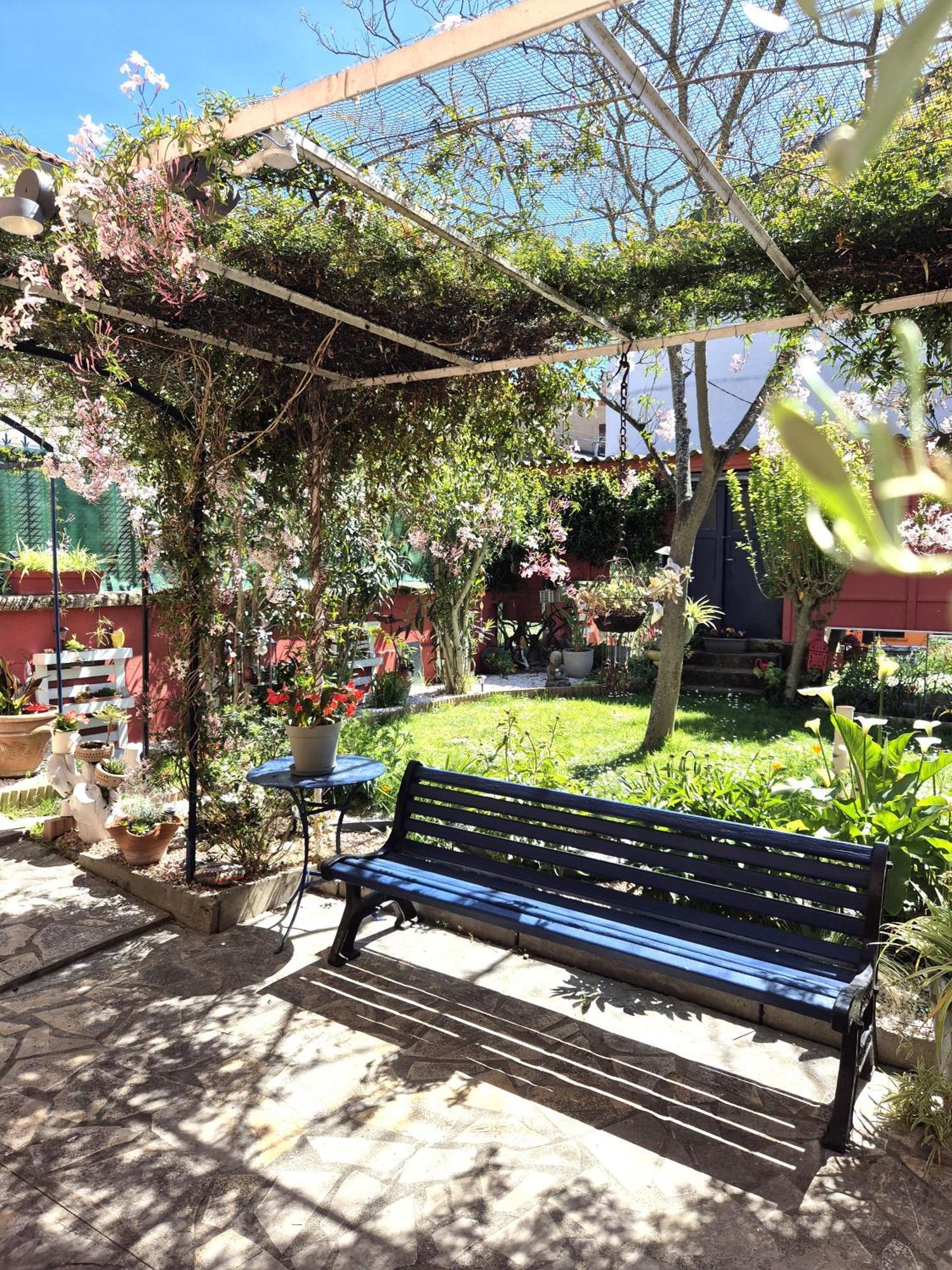 טולוז Maison Toulousaine Avec Jardin מראה חיצוני תמונה